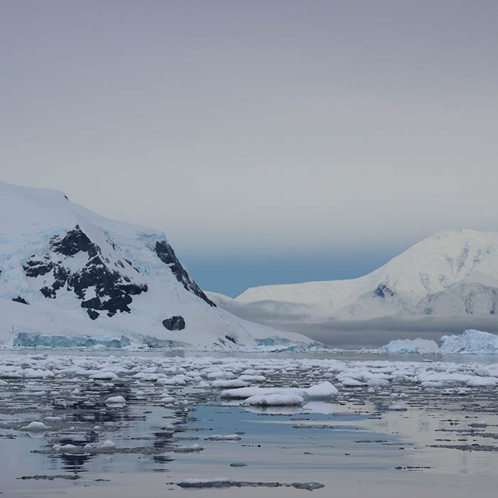 Antarctica_Postcard_Wanderlust