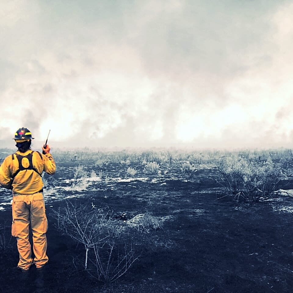 37609910_259104314878582_7296313162821795840_n