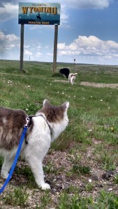 IMG_20160608_122221317_HDR