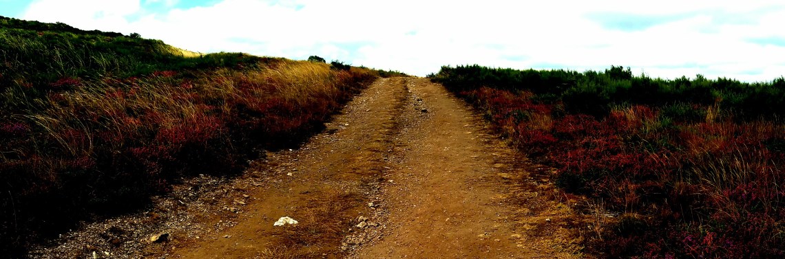 markwestwriter.com-Camino-de-Santiago-memoir-Spain- Mark Daniel West-Road