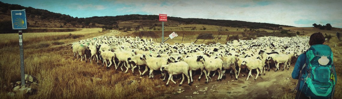 markwestwriter- on way to Burgos