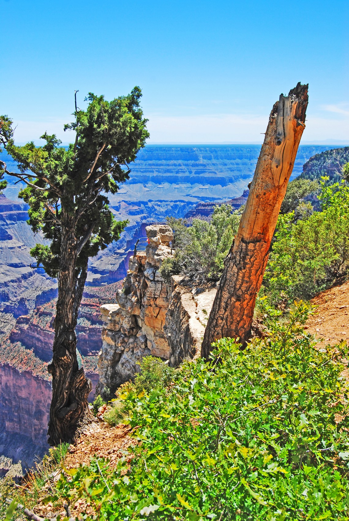 AZ_327-1_GRAND_CANYON_NP_6-13