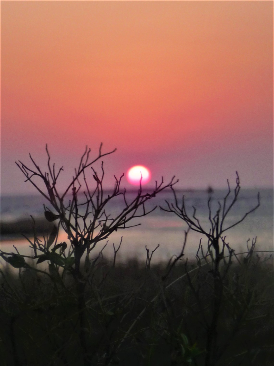 6B641480-602D-4528-9C6B-C083B09FF690