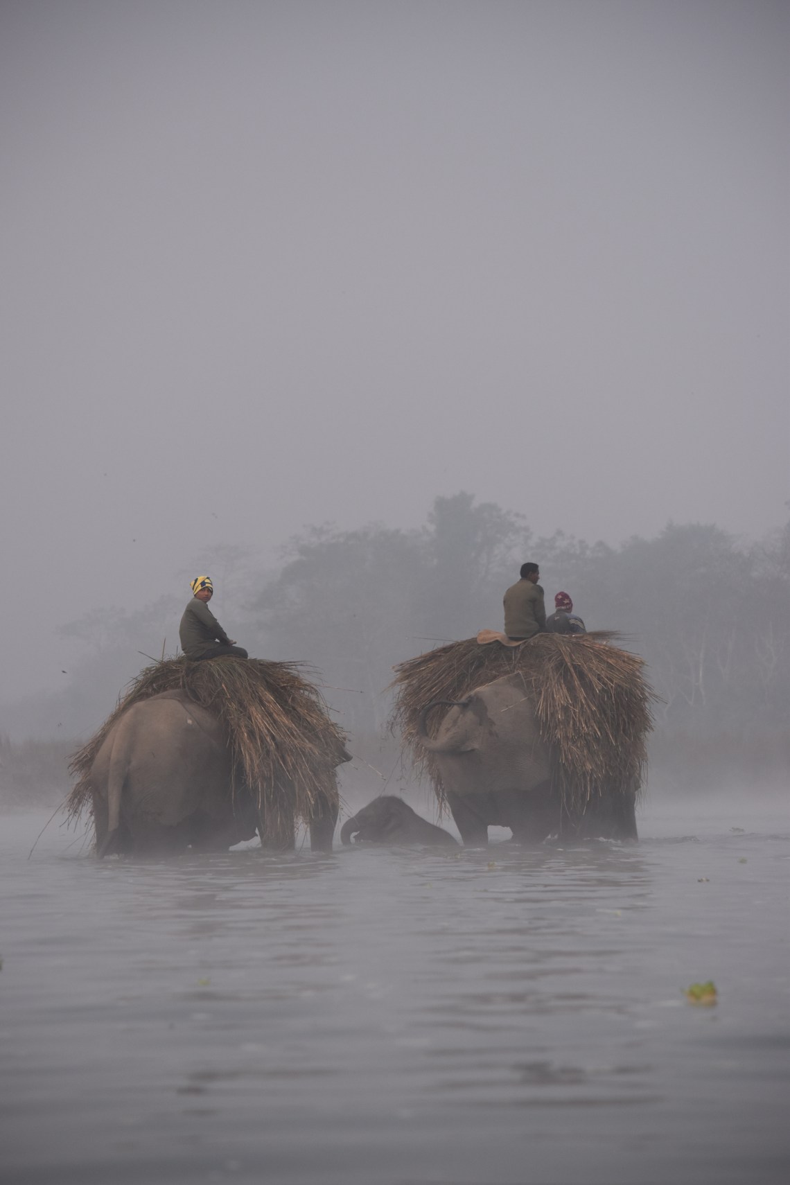 BAP_1164_2018_09_30_03_07_14_UTC