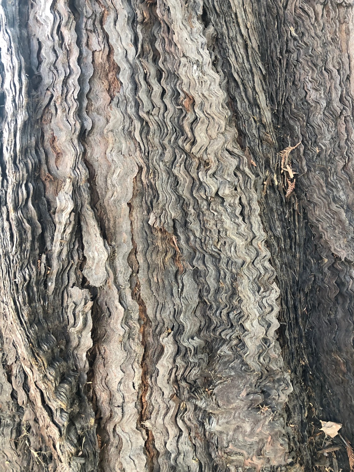 Bern_1_grey_river_waves