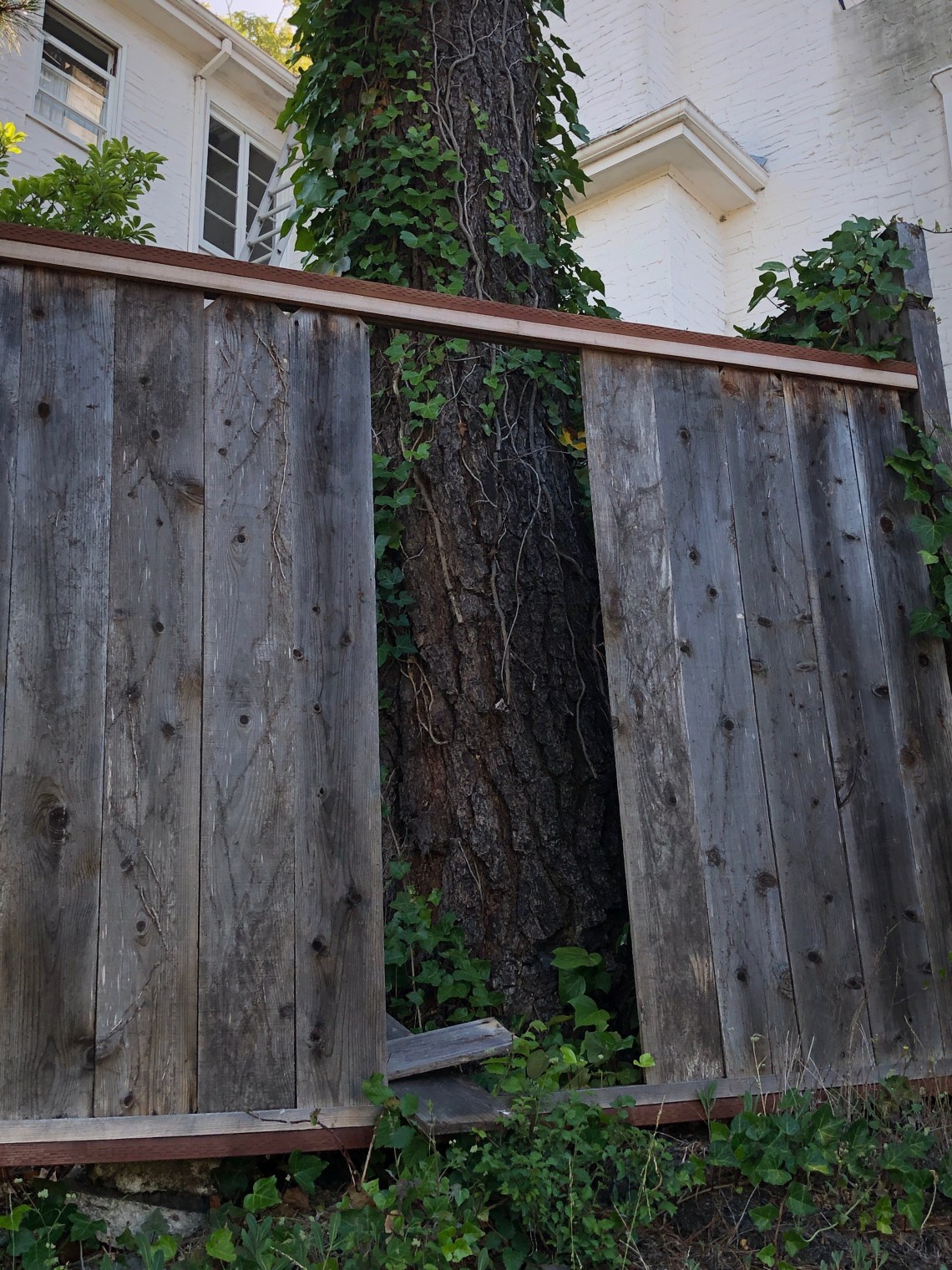 Bern_2_with_no_escape